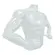 Busto Plástico Masculino Strong Cód.1150