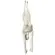 Manequim De Fibra Yoga Handstand Sem Base Cód.0548
