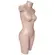 Busto De Fibra Feminino Pernão Cód.1113